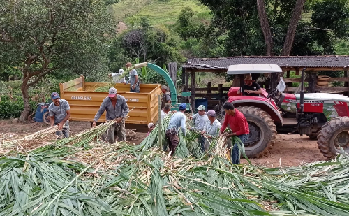 Cursos gratuitos fortalecem capacitação de produtores rurais no Vale do Aço