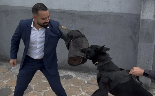 Deputado propõe criação do Banco Estadual de Ração Canina em Minas