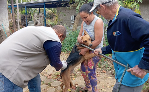 Timóteo intensifica campanha antirrábica com ponto fixo e dois dias D de vacinação