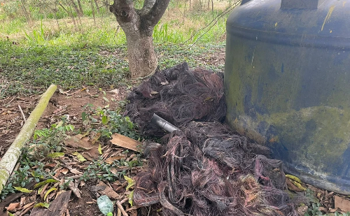 Em propriedade rural de MG, homem é preso com 1,5 tonelada de fios de cobre