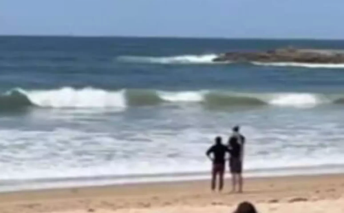 Surfista perde as duas pernas e morre ainda na areia após ataque de tubarão