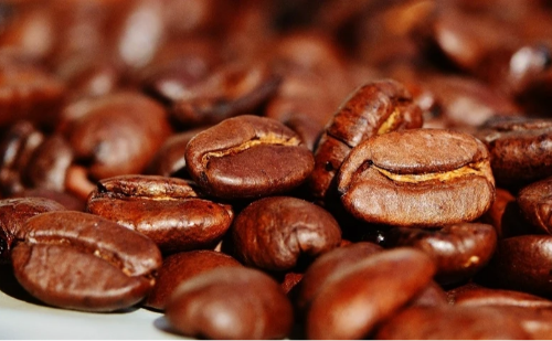 Crise nos portos deixa 1,5 mil contêineres de café encalhados e gera prejuízo bilionário