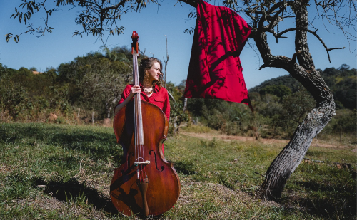 Série Música no Jardim traz show instrumental gratuito a Ipatinga