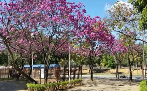 Primavera começa com calor e chuvas acima da média em Minas Gerais