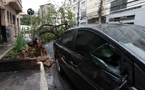 Temporal derruba árvores, paralisa semáforos e deixa meio milhão sem energia na Grande São Paulo