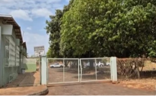 Atacada por pitbulls em Centro de Controle de Zoonoses, trabalhadora é hospitalizada em Minas Gerais