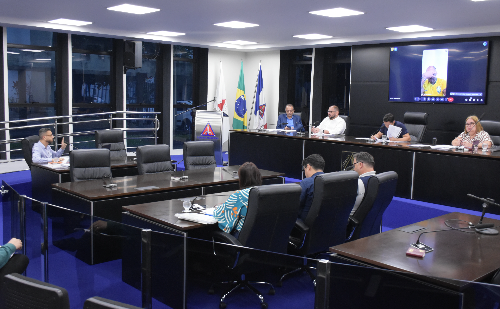 Projeto 'Constituição na Escola' é aprovado em Timóteo