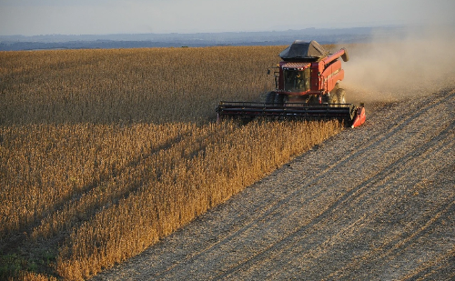 China amplia compras de soja da Argentina e se aproxima dos EUA