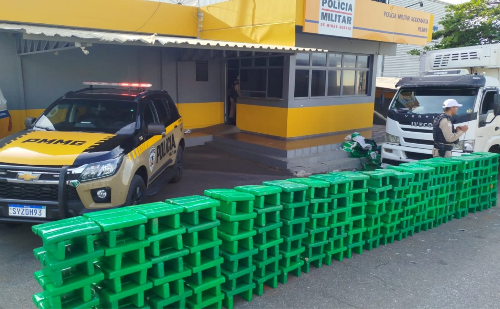Capitólio: PM apreende 850 kg de maconha escondidos em carga de repolhos