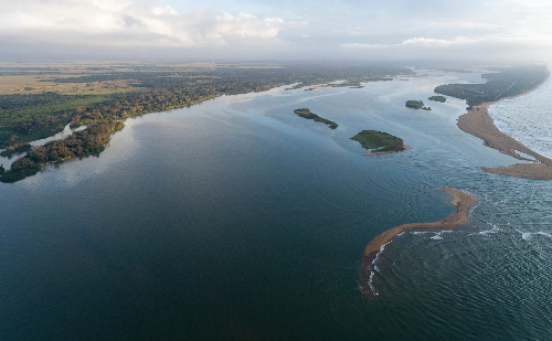 Samarco destina R$ 278 milhões para monitorar biodiversidade aquática no Rio Doce