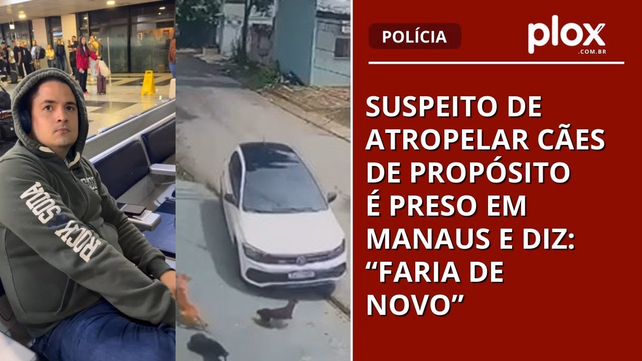 Suspeito de atropelar cães de propósito é preso em Manaus e diz: “Faria de novo”
