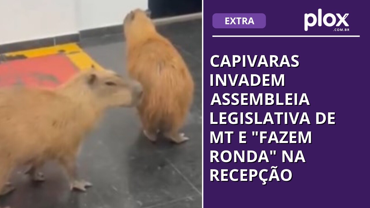 Capivaras invadem Assembleia Legislativa de MT e "fazem ronda" na recepção