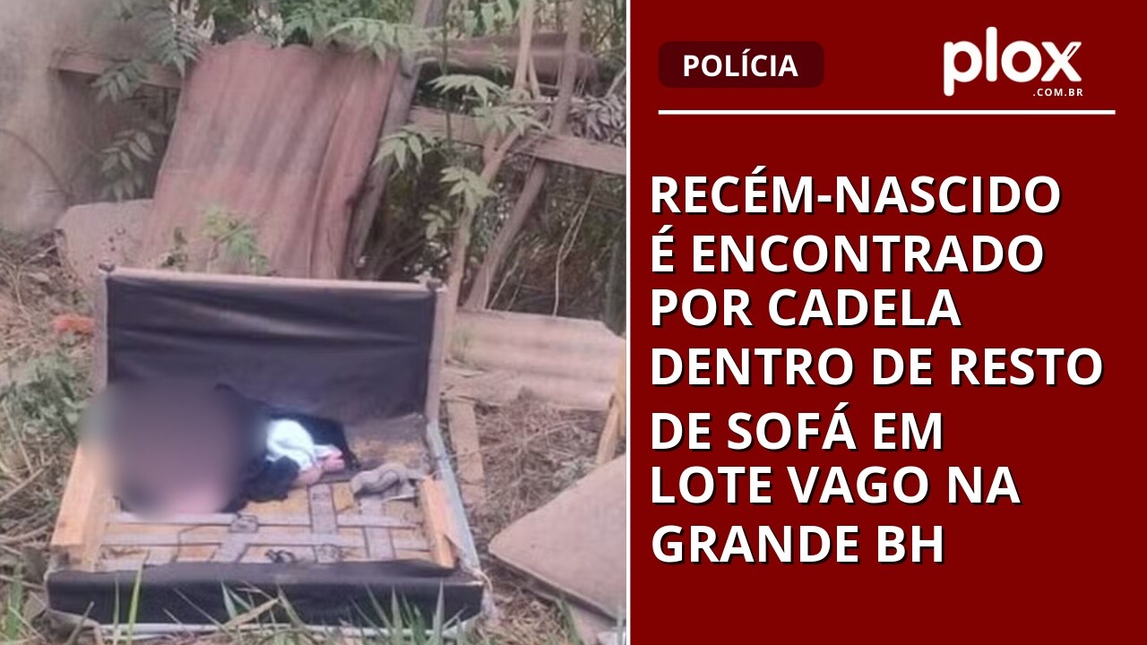 Recém-nascido é encontrado por cadela dentro de resto de sofá em lote vago na Grande BH