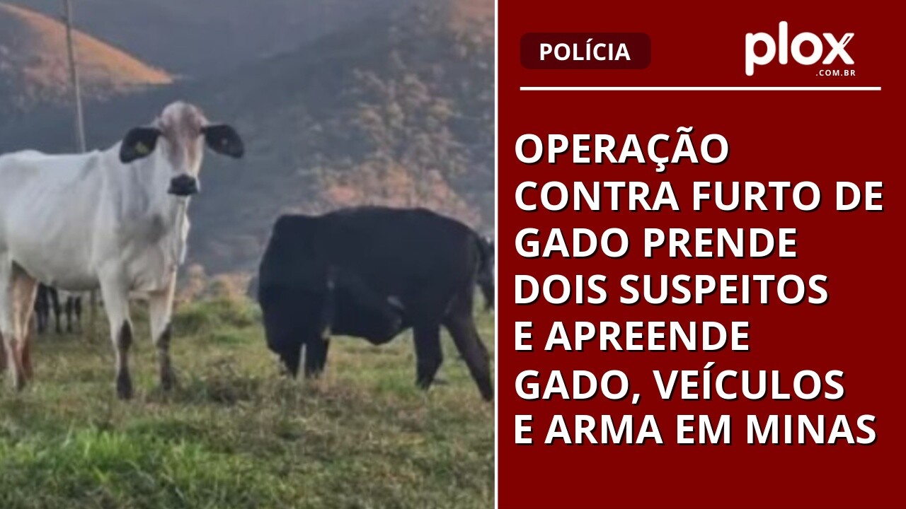 Operação contra furto de gado prende dois suspeitos e apreende gado, veículos e arma em Minas