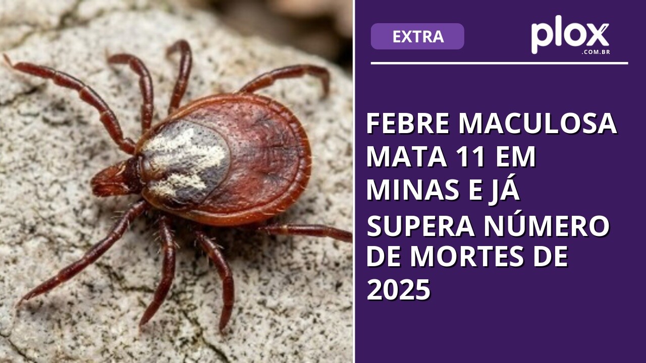 Febre maculosa mata 11 em Minas e já supera número de mortes de 2025