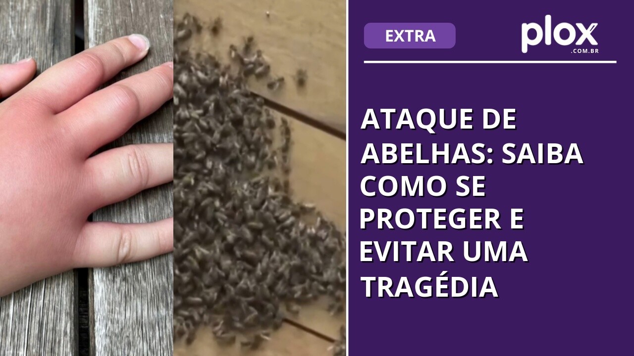 Ataque de abelhas: saiba como se proteger e evitar uma tragédia