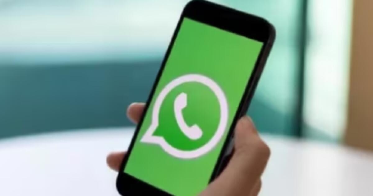 WhatsApp testa novo visual com balões de mensagem redesenhados | Plox